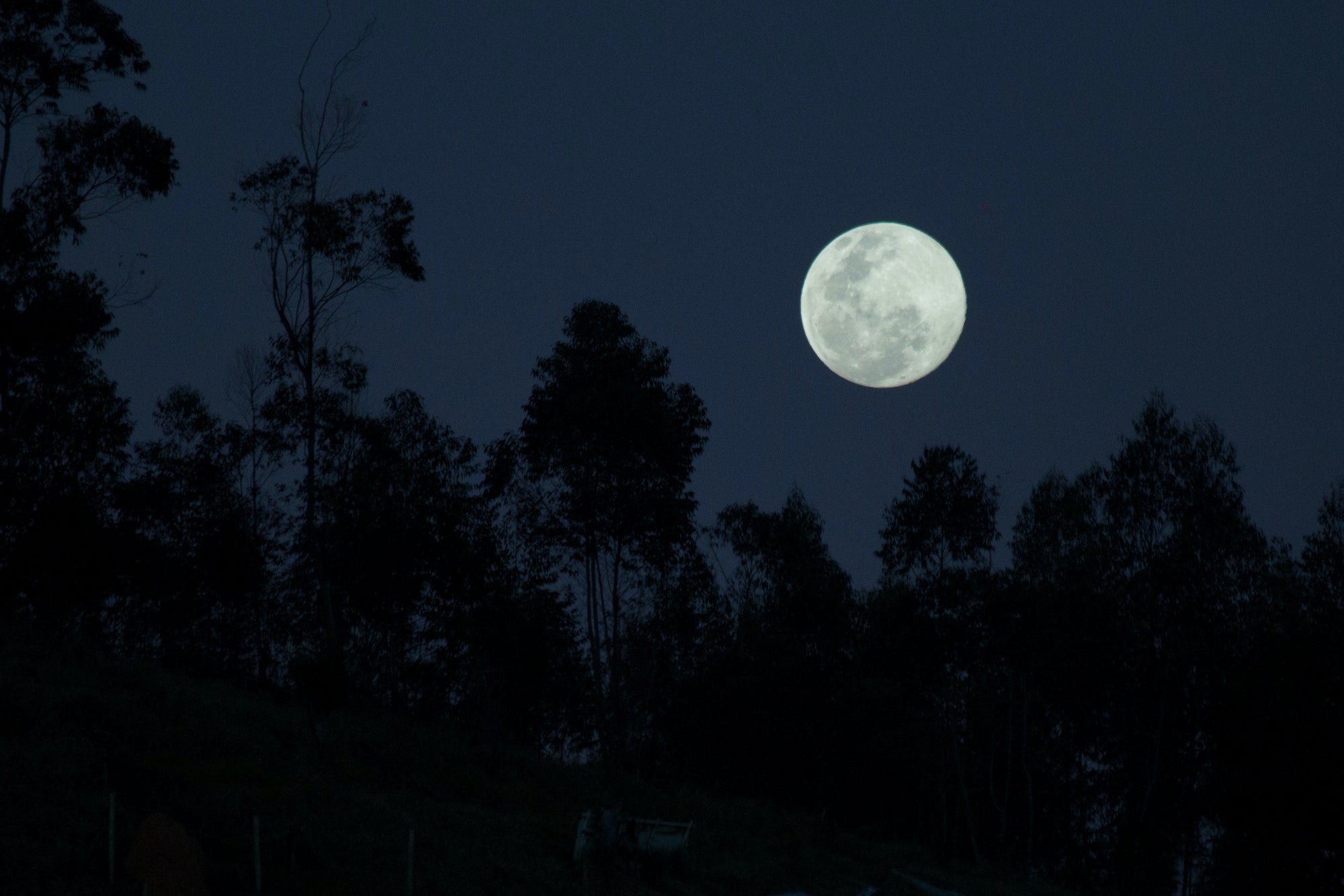 Full moon glowing above dark forest silhouette at night