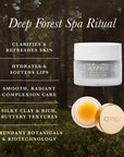 Deep Forest Spa Ritual